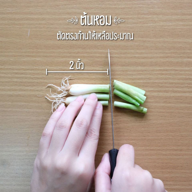 วิธีปลูกผักพื้นที่น้อย วิธีปลูกผักพื้นที่น้อย
