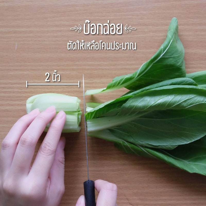 วิธีปลูกผักพื้นที่น้อย วิธีปลูกผักพื้นที่น้อย