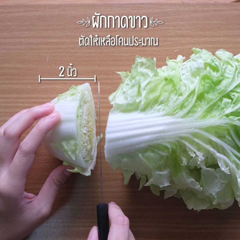 วิธีปลูกผักพื้นที่น้อย วิธีปลูกผักพื้นที่น้อย