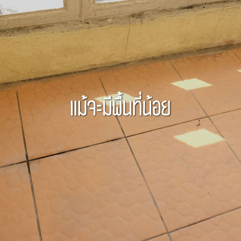 วิธีปลูกผักพื้นที่น้อย วิธีปลูกผักพื้นที่น้อย