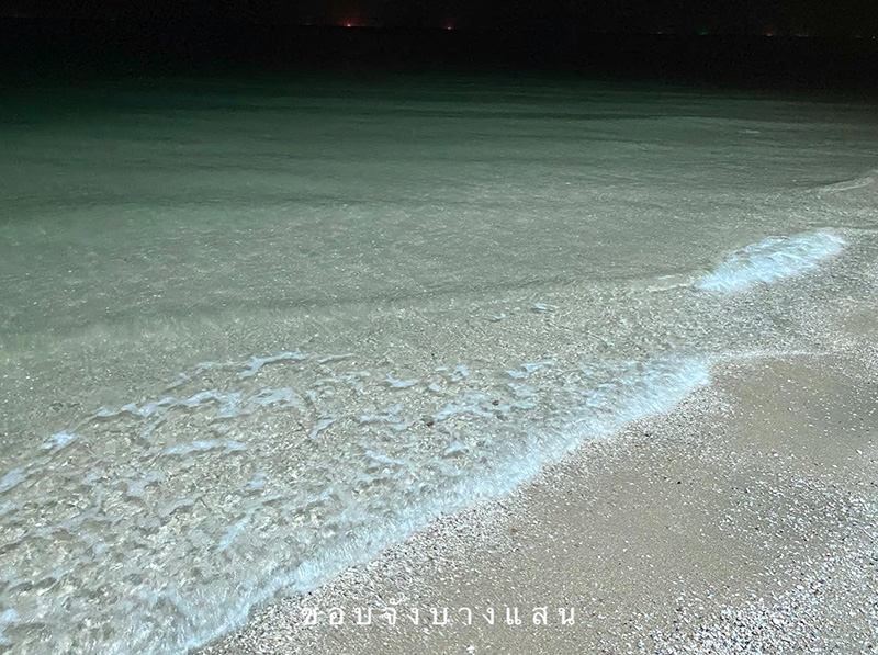 ทะเลบางแสน ทะเลบางแสน