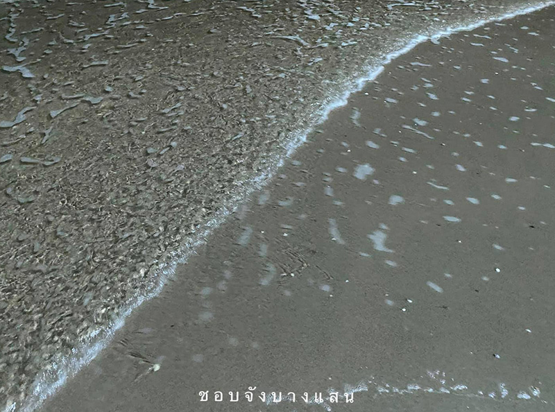 ทะเลบางแสน ทะเลบางแสน