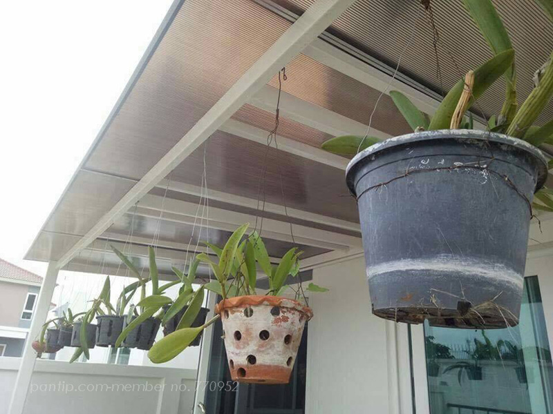 ต่อเติมห้องครัวหลังบ้าน ต่อเติมห้องครัวหลังบ้าน