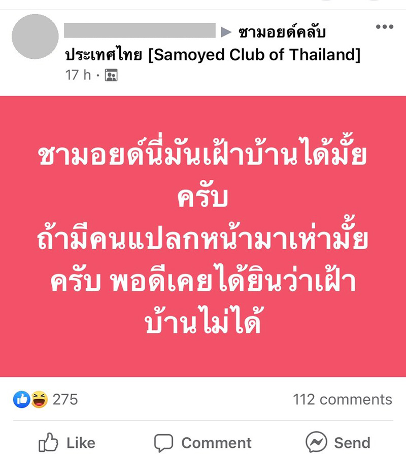 บุ๋ม ปนัดดา รีวิวสุดฮา วีรกรรมน้องหมาซามอยด์ บุ๋ม ปนัดดา รีวิวสุดฮา วีรกรรมน้องหมาซามอยด์