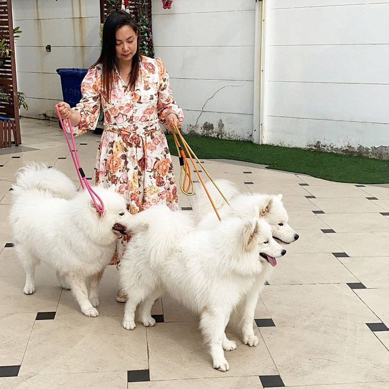 บุ๋ม ปนัดดา รีวิวสุดฮา วีรกรรมน้องหมาซามอยด์ บุ๋ม ปนัดดา รีวิวสุดฮา วีรกรรมน้องหมาซามอยด์