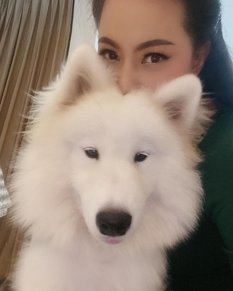 บุ๋ม ปนัดดา รีวิวสุดฮา วีรกรรมน้องหมาซามอยด์ บุ๋ม ปนัดดา รีวิวสุดฮา วีรกรรมน้องหมาซามอยด์