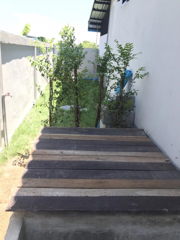 ทำบ่อปลาคาร์พสวนข้างบ้าน ทำบ่อปลาคาร์พสวนข้างบ้าน