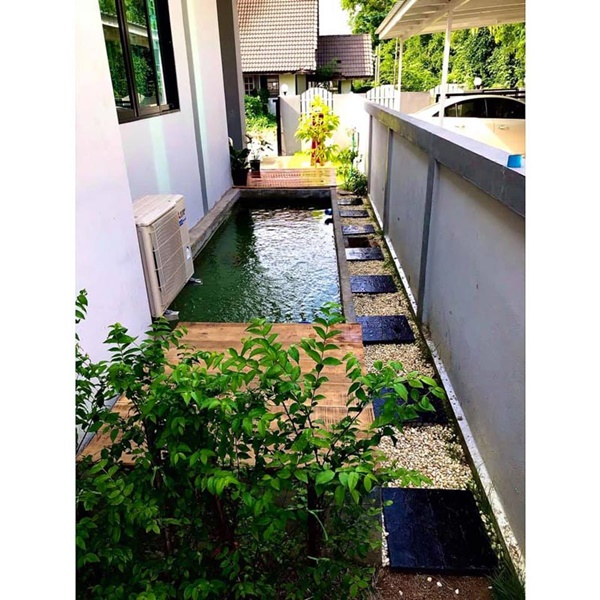 ทำบ่อปลาคาร์พสวนข้างบ้าน ทำบ่อปลาคาร์พสวนข้างบ้าน