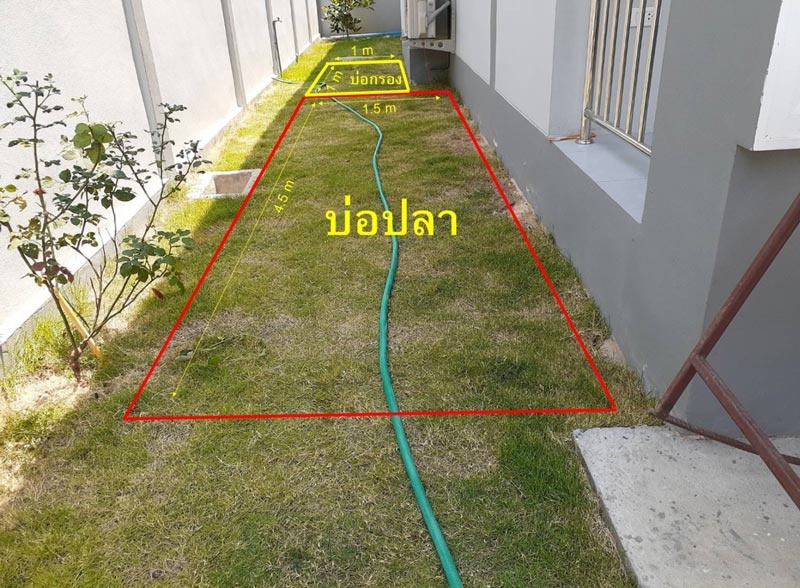 รีวิวทำบ่อปลาคาร์พสวนข้างบ้าน รีวิวทำบ่อปลาคาร์พสวนข้างบ้าน