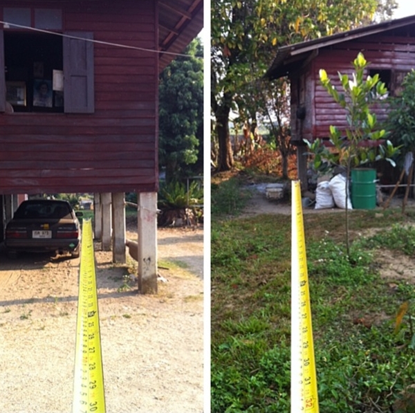 แบบบ้านครึ่งปูนครึ่งไม้ แบบบ้านครึ่งปูนครึ่งไม้