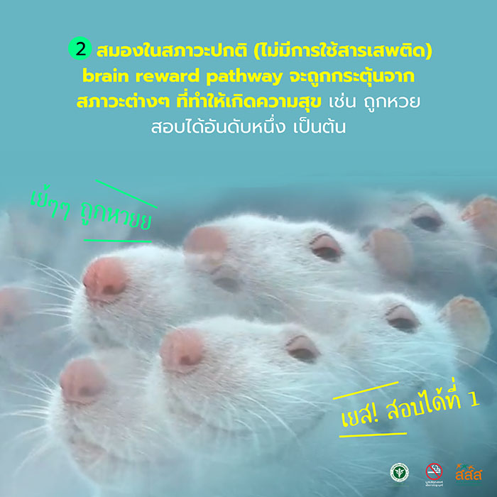 โทษของบุหรี่ไฟฟ้า โทษของบุหรี่ไฟฟ้า