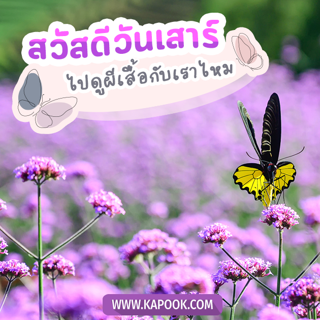 ดูดวงรายวัน 2 กรกฎาคม 2565 ดูดวงรายวัน 2 กรกฎาคม 2565