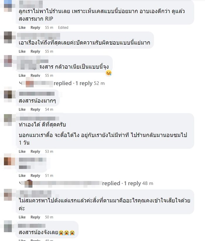 แมว แมว