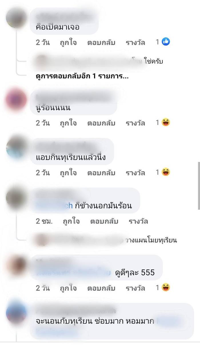 ทาสแมว ทาสแมว