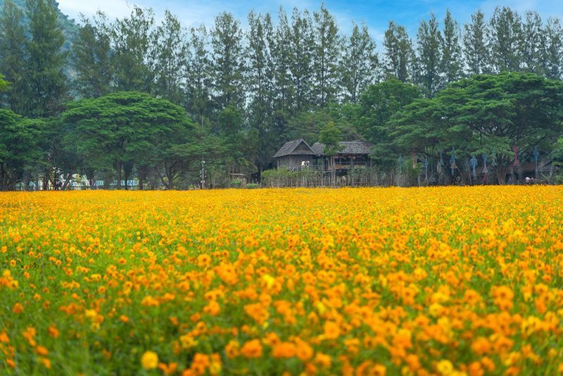 ที่เที่ยวนครราชสีมา ที่เที่ยวนครราชสีมา