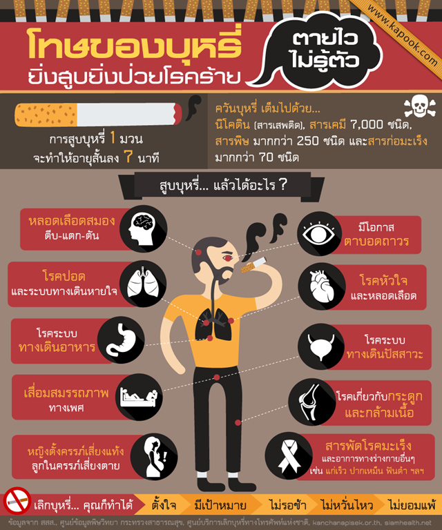โทษของบุหรี่ ยิ่งสูบยิ่งป่วยโรคร้าย ตายไวไม่รู้ตัว ! โทษของบุหรี่ ยิ่งสูบยิ่งป่วยโรคร้าย ตายไวไม่รู้ตัว !