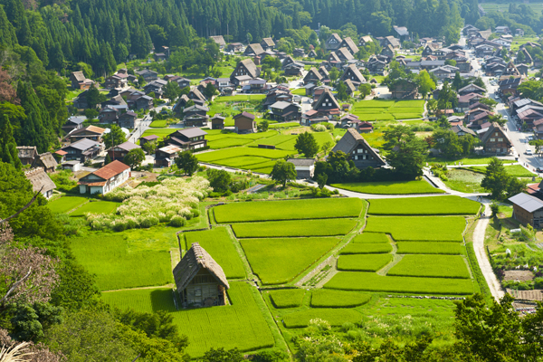 10 สถานที่ท่องเที่ยวญี่ปุ่น 10 สถานที่ท่องเที่ยวญี่ปุ่น