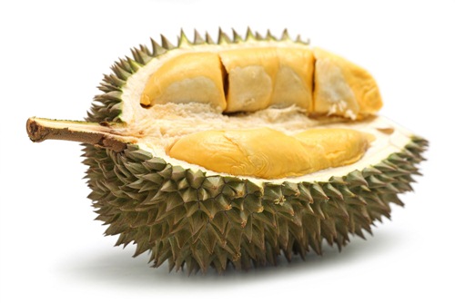 ทุเรียน ทุเรียน