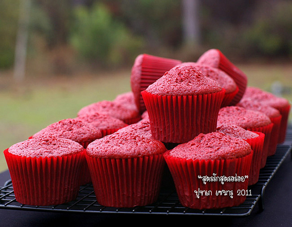 เรด เวลเว็ท คัพเค้กกำมะหยี่สีแดง เย้ายวนเกินห้ามใจ เรด เวลเว็ท คัพเค้กกำมะหยี่สีแดง เย้ายวนเกินห้ามใจ