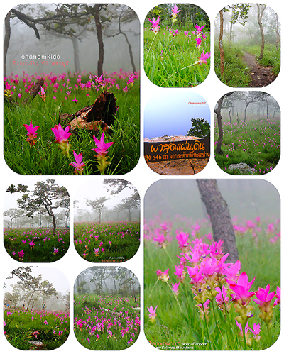 ท่องเที่ยวไทย ท่องเที่ยวไทย