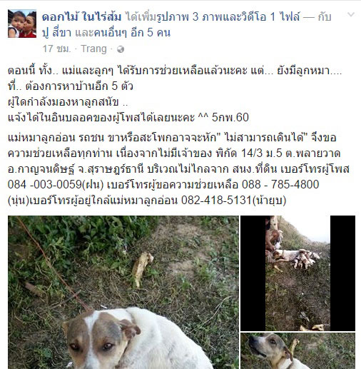 My Image 30